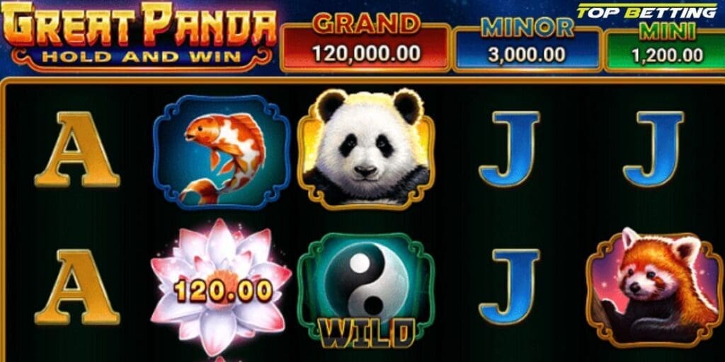 How to Play Panda King Hold and Win