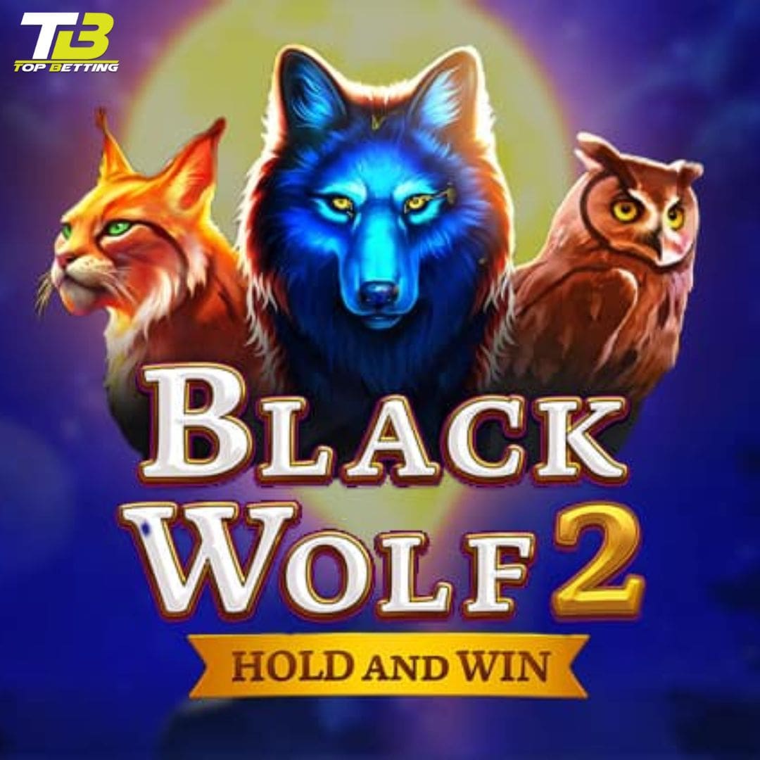 How to play Black Wolf 2?A Comprehensive Guide
